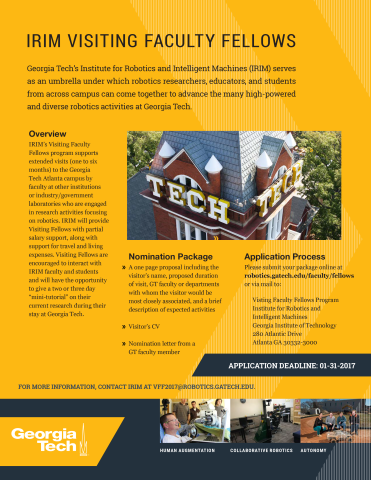 IRIM Faculty Fellows Flyer