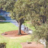 Georgia Tech campus