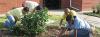 Students Organizing for Sustainability (SOS)