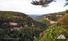 Cloudland Canyon
