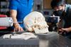 Graduate students set up vibration experiments on a skull.