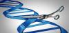 Gene Editing