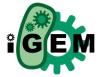 iGEM