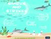 Sharks and Strikes at Tech Rec on 7/24.