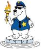 Polar Plunge
